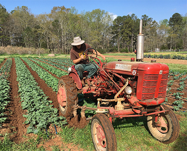 Agricultural land project